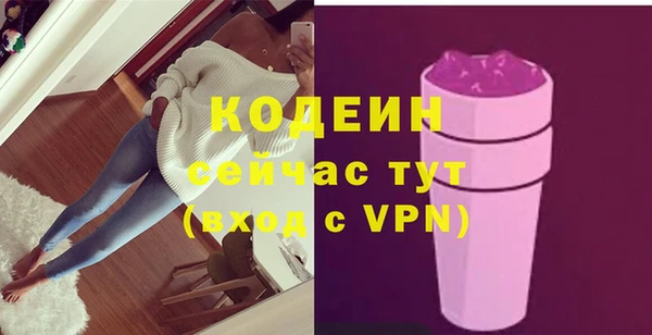 сатива Инсар
