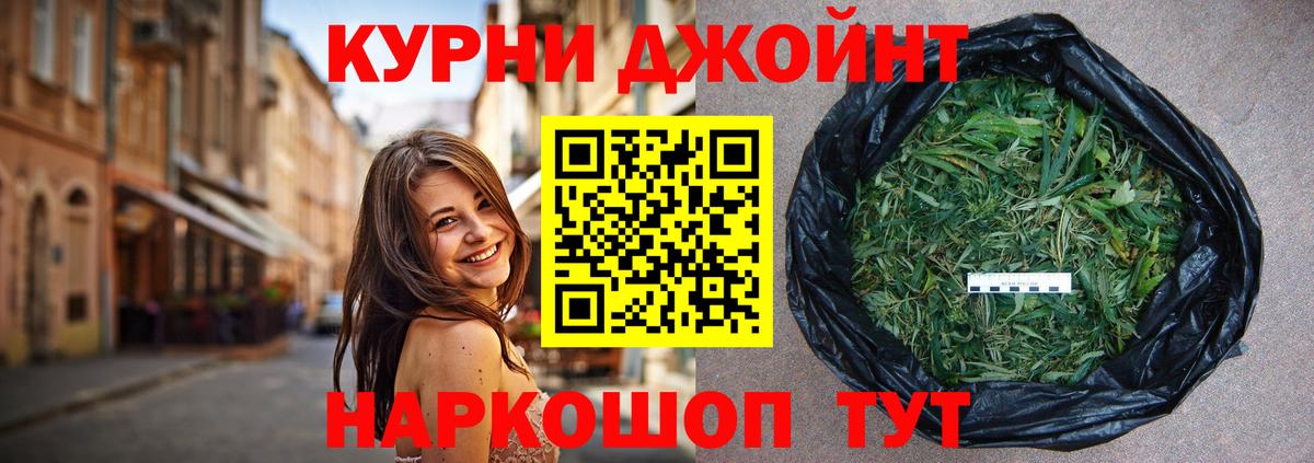 Бошки марихуана гибрид Соль-Илецк